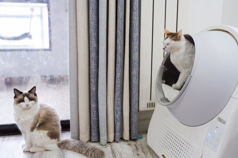 10 Best Air Purifiers for Litter Box Odor in 2026