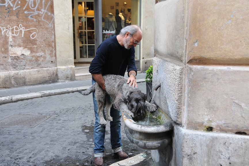 top pet hydration solutions